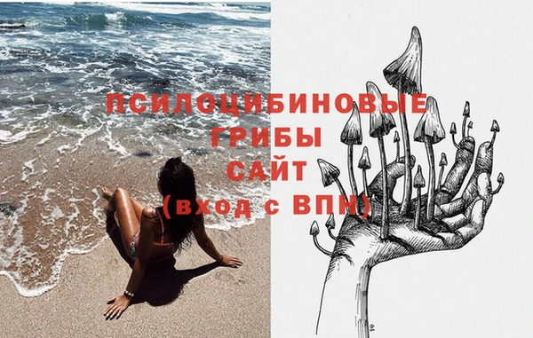 скорость Алзамай