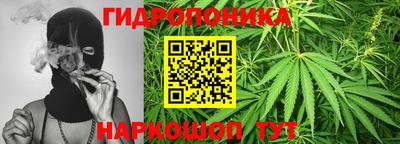 крисы Долгопрудный
