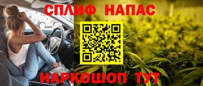 крисы Добрянка