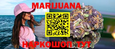 крисы Долгопрудный